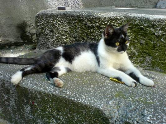 � ��� ������� ������ �������� ���� � ����� ���������� 