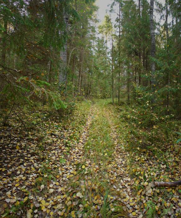 ������ � ����.