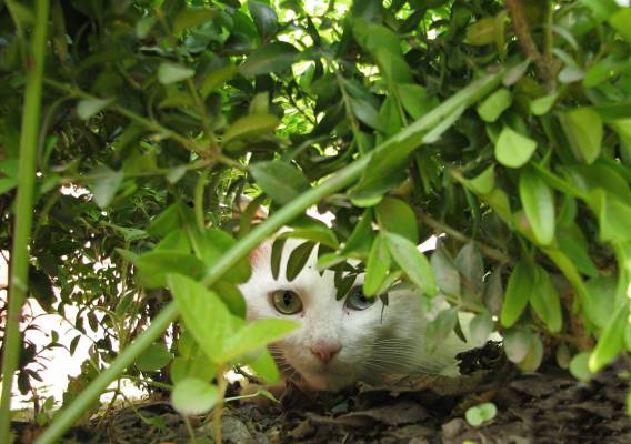 � ������