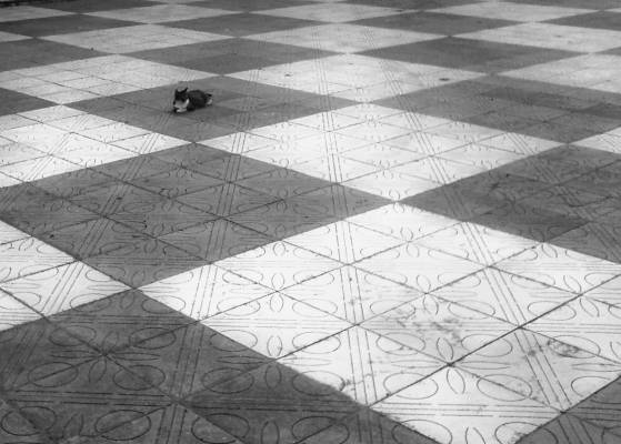 ��������� ������ 