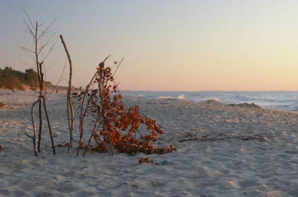 ����������