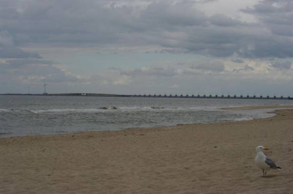 ����� � ����