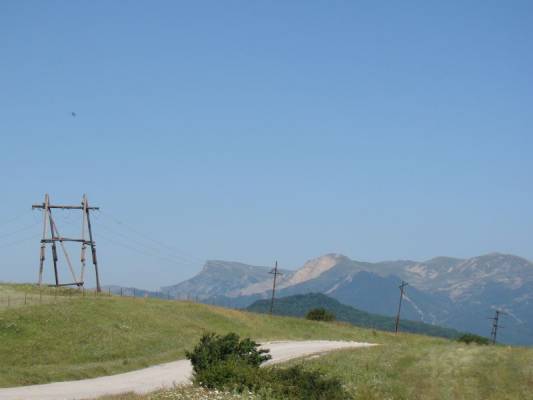 ������...