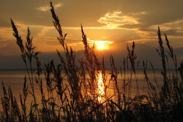 ������ ����� �� �����