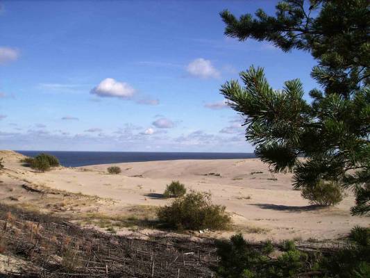 �������� ������� �������� ���� 