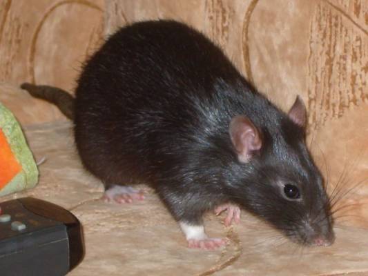 ����� ��������� ��� � ������ �������� ���