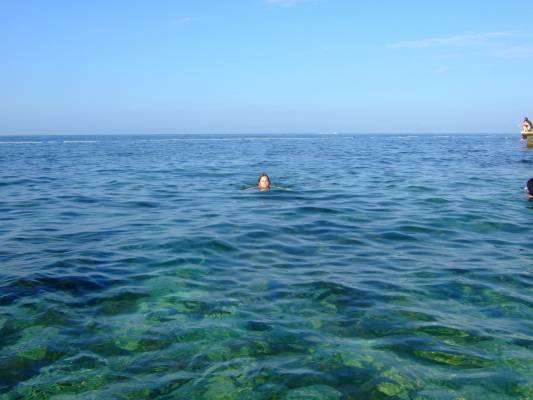 ������, ���������