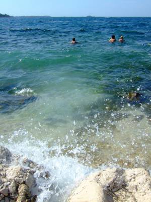 ������, ���������