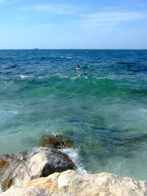 ������, ���������