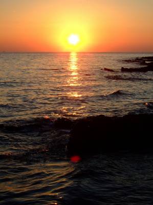 ������, ���������