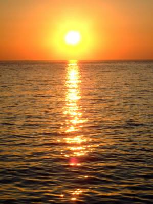 ������, ���������