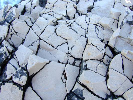 ������, ���������