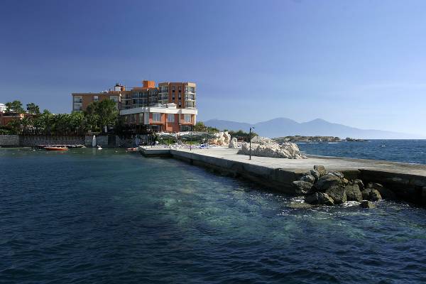 ����� ��������� ���� ��������