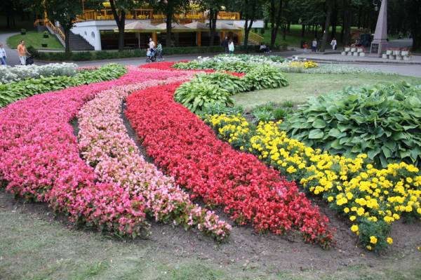 ���� ��������