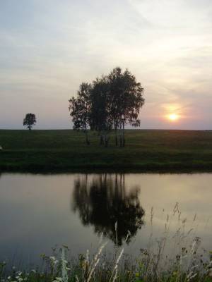 � �������