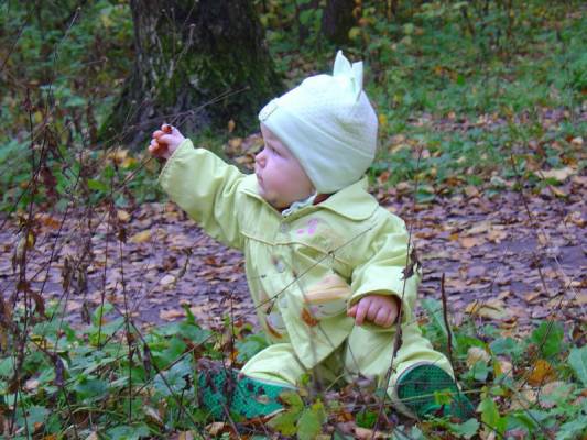 ���������������� ���� (9 ���.)