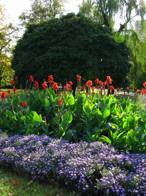 �� ��������� ������