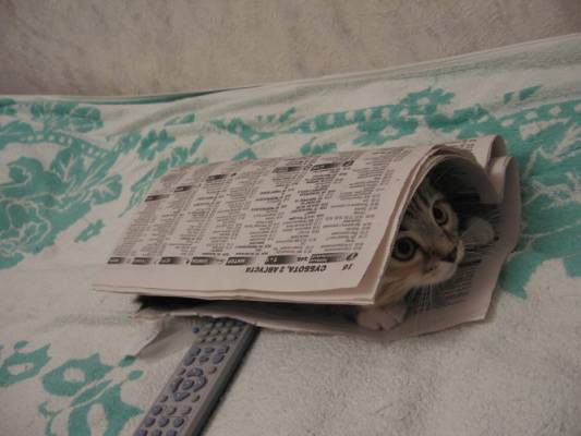 ���, ��������� � ������