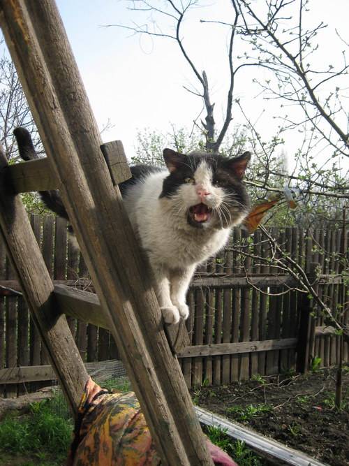 ������� ��������!