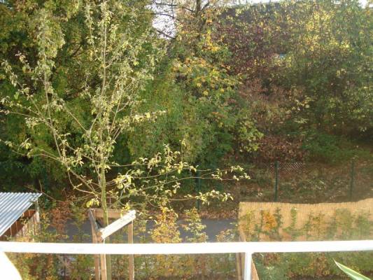   ,   ...   ?   ?!!!  , ,   Waschkeller      ,      ,     ,  Fahrradkeller     