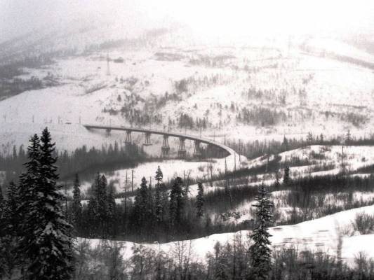 ������ ����