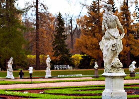 ������� ����