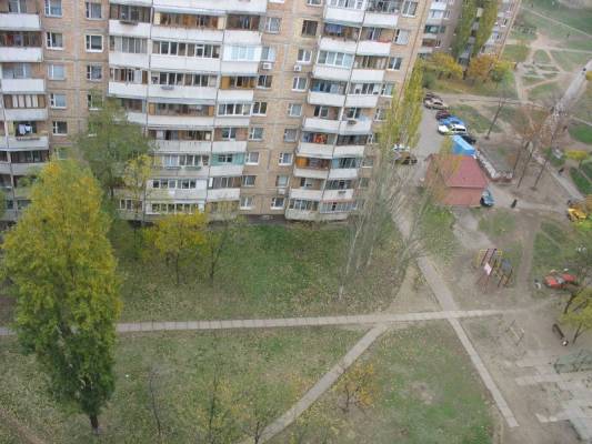 ������ ������