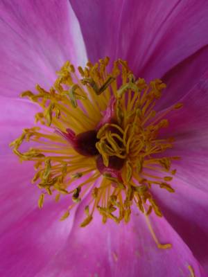 Floer #2