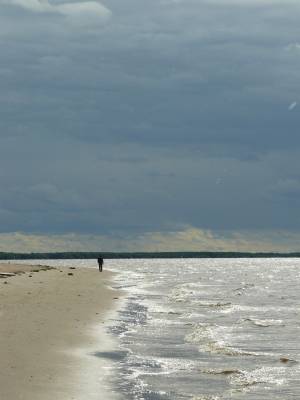 Stranger on the coast