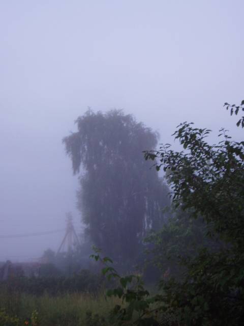 ϸ� - �������