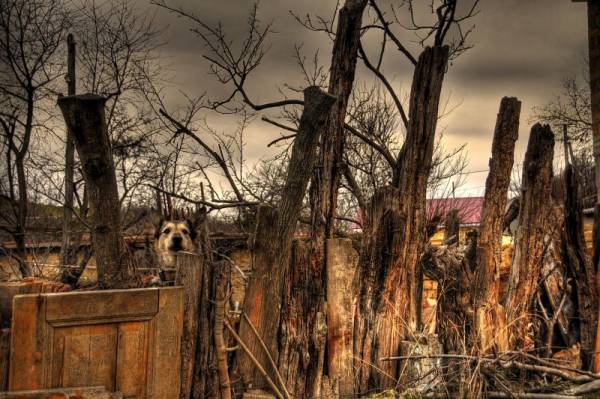 ������...