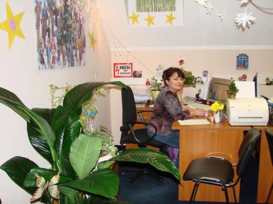 �������������� (3-� �����)