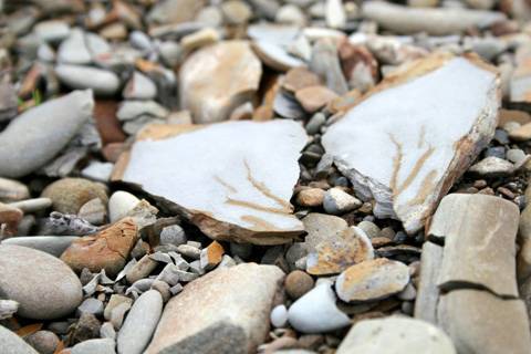 �� �����������