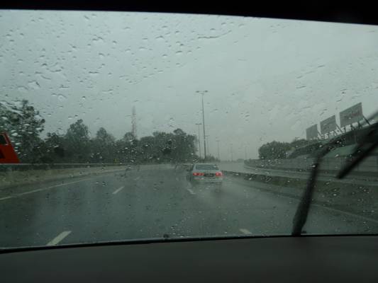 ������ �����������