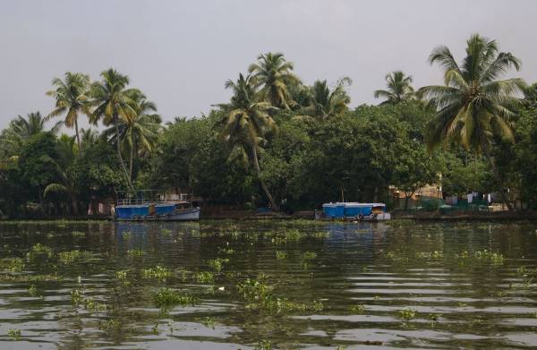 Back water, 