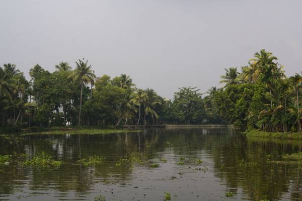 Back water, 