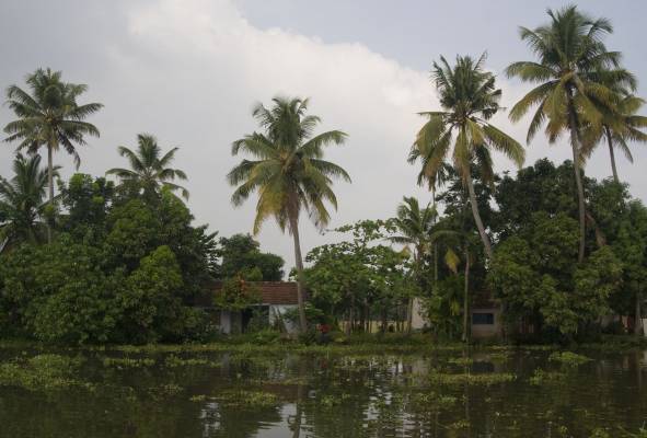 Back water, 