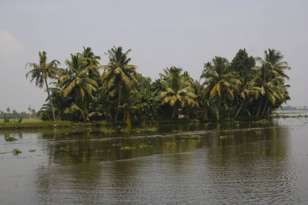 Back water, 