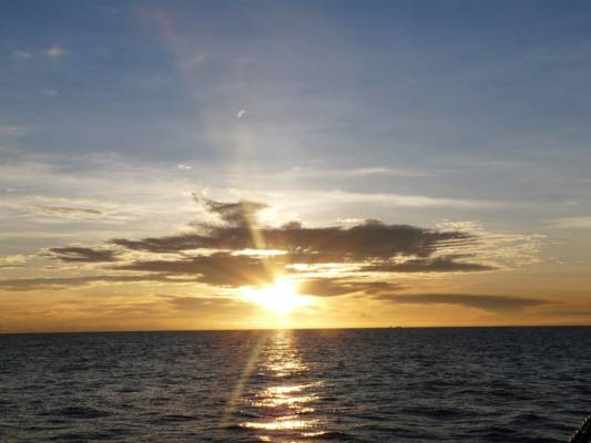 ���� ������