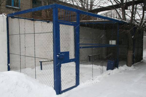 ���� ��� ����������