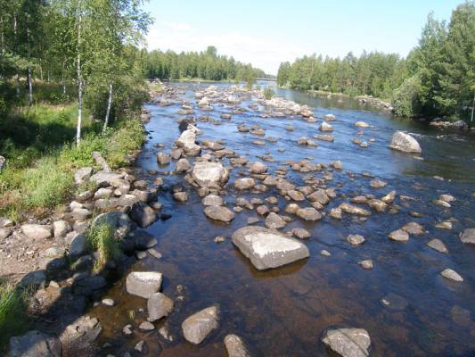 �������