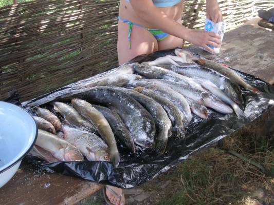 �������