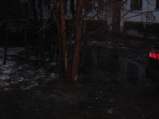 ����. ���� (������ 2006)