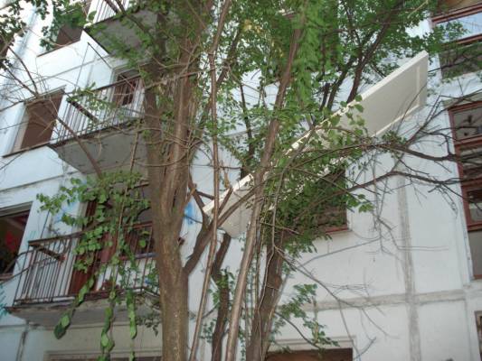 ���� �� ����� ���������� ���� �����, ��� ��������� �� �������� �����, ��� ��� ���� � �����������