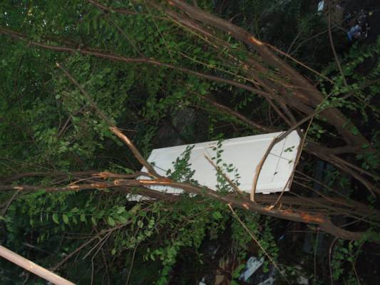 ����� �������, �������.