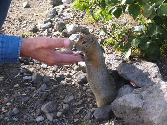 �������