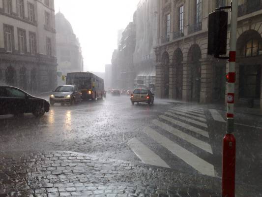 ������ � ��������