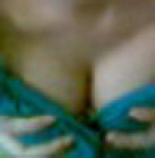 �������� ���������3