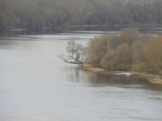 ������ �� ������