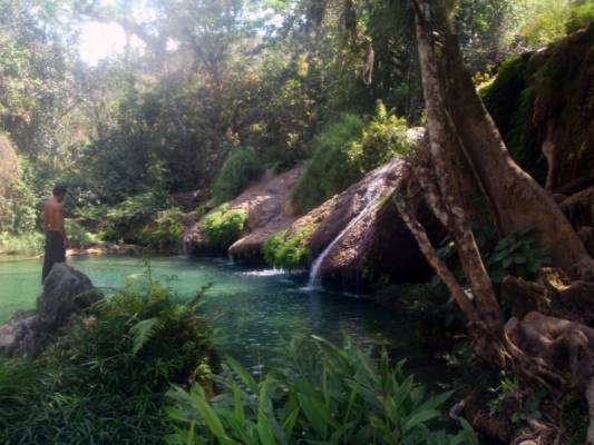 ��� ����